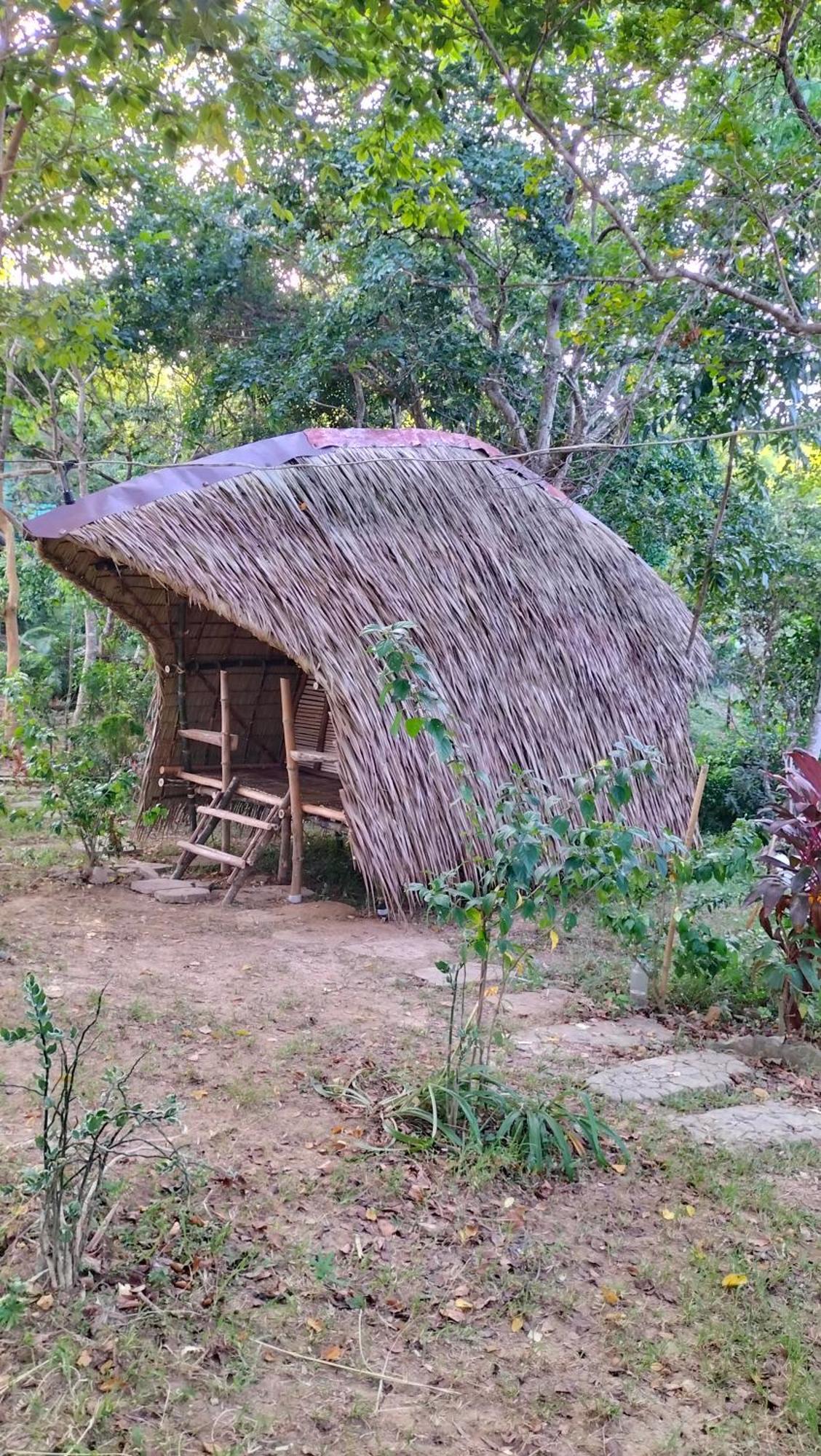 Erlittop Nature Lodge Эль-Нидо Экстерьер фото