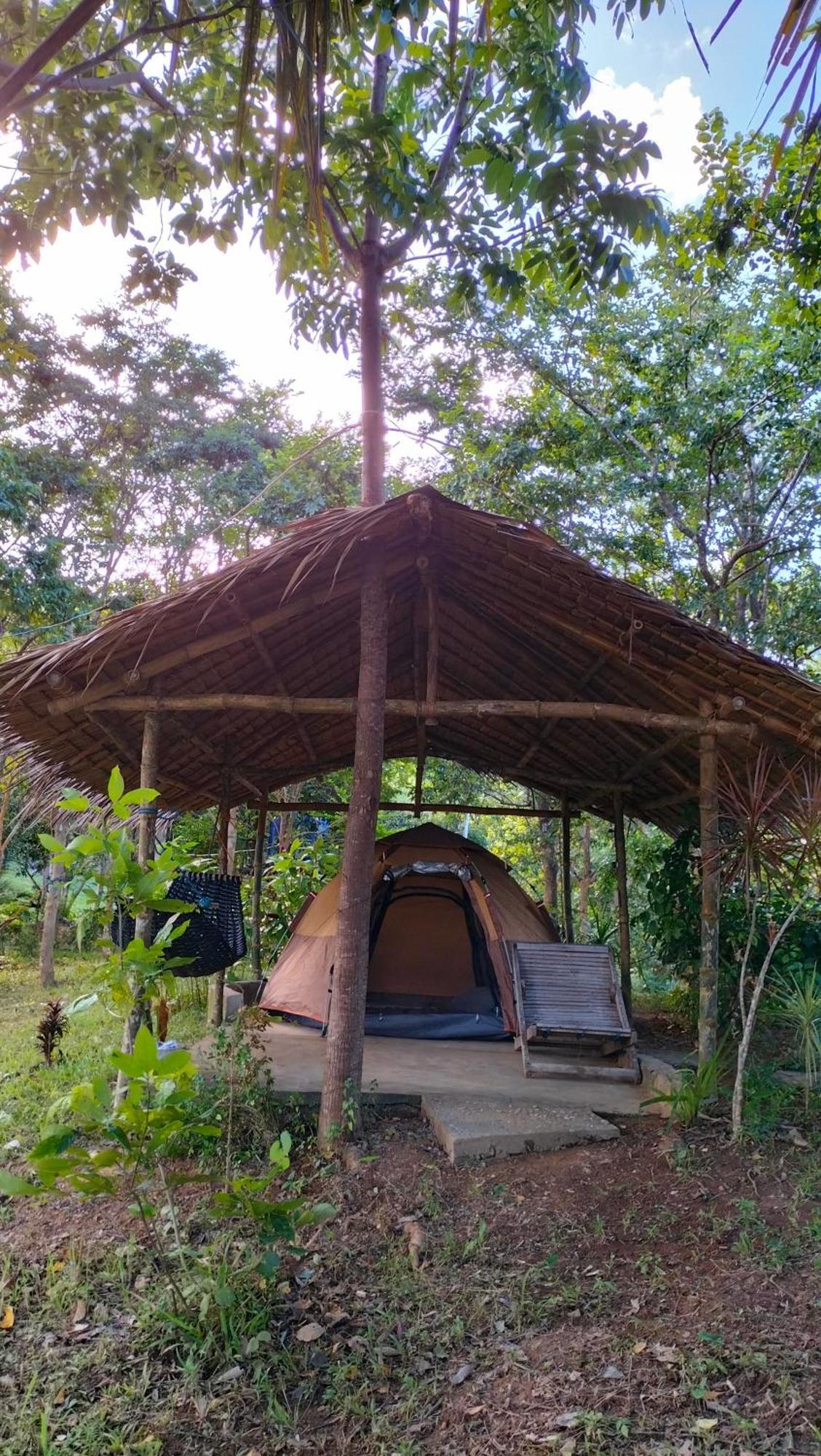 Erlittop Nature Lodge Эль-Нидо Экстерьер фото