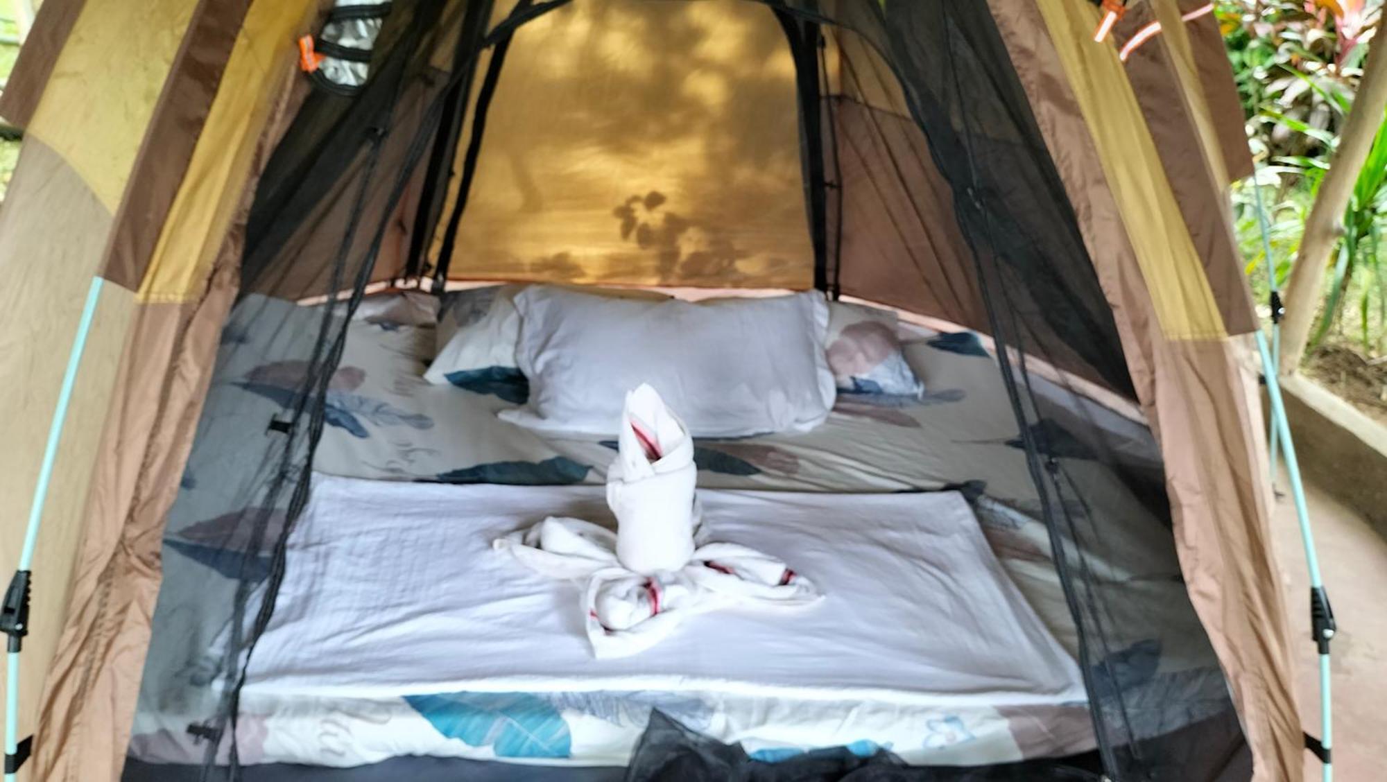 Erlittop Nature Lodge Эль-Нидо Экстерьер фото