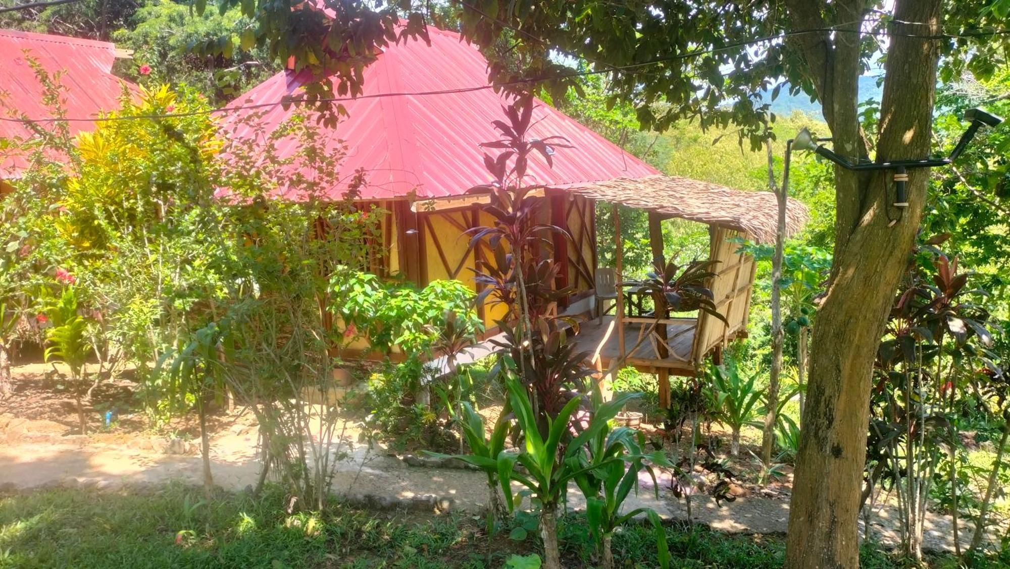 Erlittop Nature Lodge Эль-Нидо Экстерьер фото